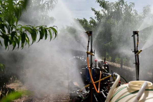 1664257738910598.jpg 01.jpg