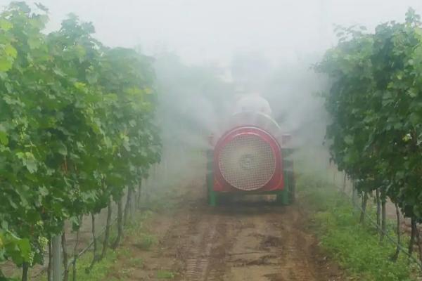 1664257748208454.jpg 02.jpg